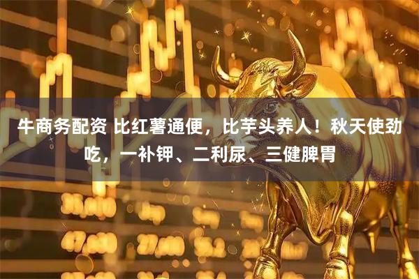 牛商务配资 比红薯通便，比芋头养人！秋天使劲吃，一补钾、二利尿、三健脾胃