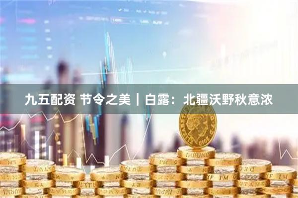 九五配资 节令之美｜白露：北疆沃野秋意浓