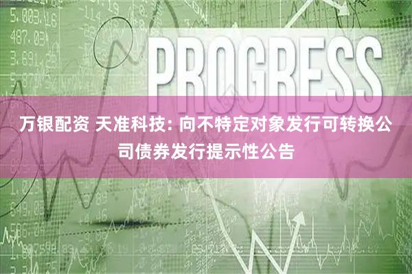 万银配资 天准科技: 向不特定对象发行可转换公司债券发行提示性公告