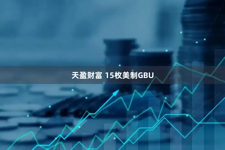 天盈财富 15枚美制GBU